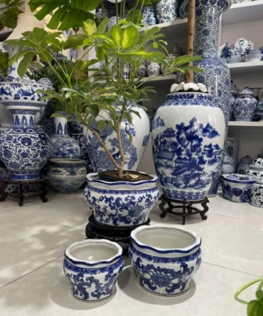 ۳ تیکه گلدان گیاه طبیعی