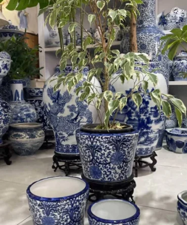 ۳ تیکه گلدان گیاه طبیعی