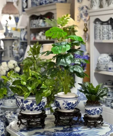 3 تیکه گلدان برای گیاه طبیعی